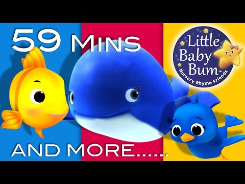 The Little Blue Whale | Plus Lots More Nursery Rhymes | 59 Minutes Compilation from LittleBabyBum!