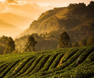 Chiang Mai, Thailand