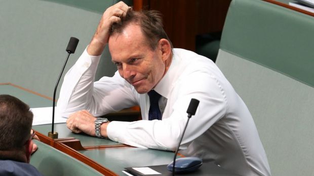 Tony Abbott has asked just one question in the current Parliament.