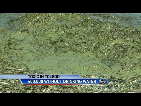 Hundreds of Thousands Without Water In Toledo, Ohio