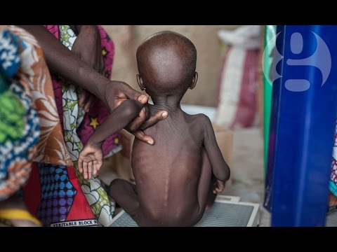 Nigeria on the brink of famine: 'Children are dying from starvation'