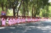 Novice nuns walking to the pagoda on the road from Yangon to Pyay in Myanmar provided this memorable moment.