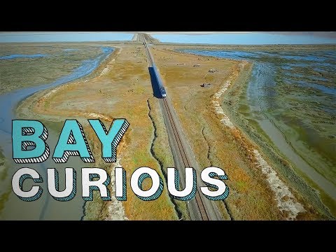 Welcome to Drawbridge: The Bay Area's Last Ghost Town | Bay Curious