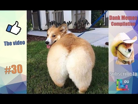 💥 Dank Memes Compilation #30 [Offensive] | Lou