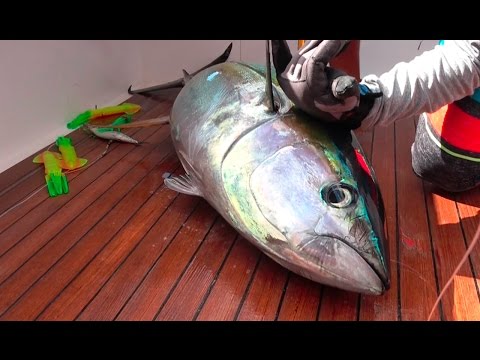 TUNA! Catch, Clean, Cook and EAT!!!! Gabriella's Quepos, Costa Rica