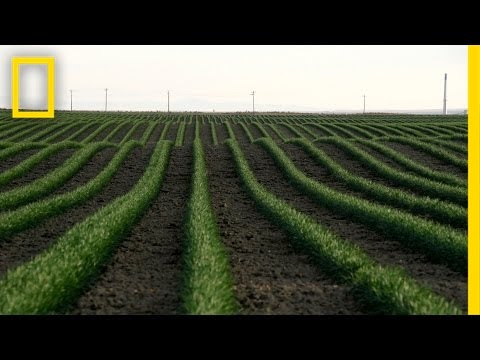 Drones and the Future of Farming | National Geographic