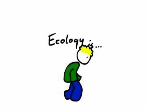 Ecology is...