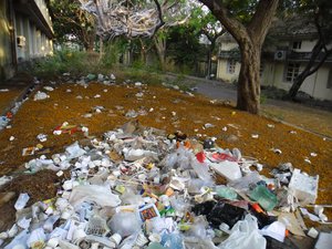 Garbage & flower on a road side