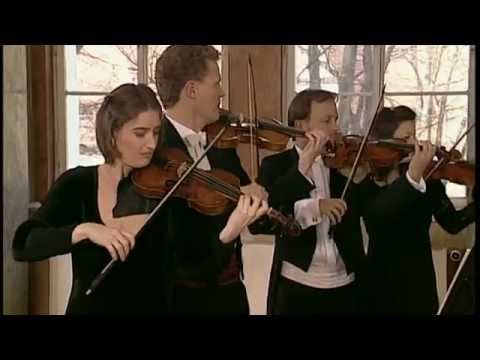 Bach: Brandenburg Concerto No. 1 in F major, BWV 1046 (Freiburger Barockorchester)