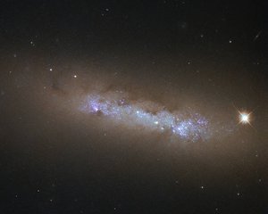 File - This beautiful clump of glowing gas, dark dust, and glittering stars is the spiral galaxy NGC 4248, located about 24 million light-years away in the constellation of Canes Venatici (The Hunting Dogs).