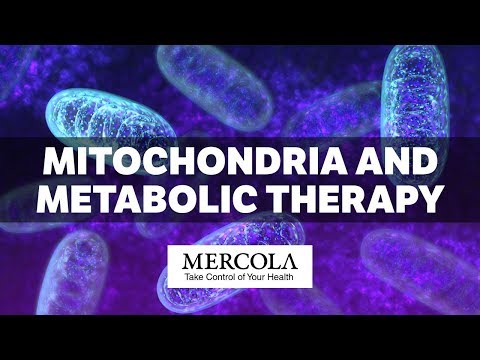 Dr. Mercola and Dr. Seyfried on Mitochondria and Metabolic Therapy