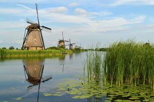 The windmills of Kinderdijk are one of the best known Dutch tourist site