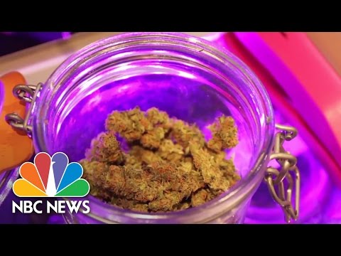 Legalized: A Year In The Life Of Colorado's Legal Weed Experiment | NBC News