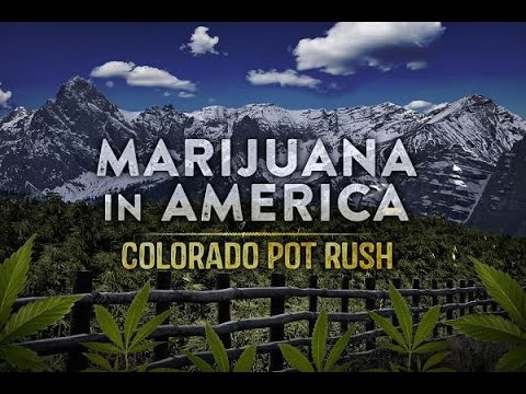 Marijuana in America Colorado Pot Rush