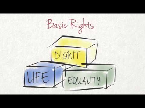 What are Human Rights?