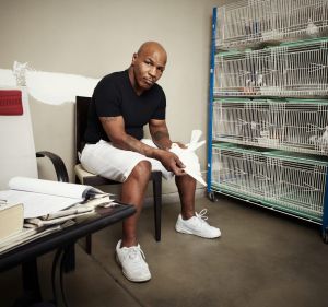 Tyson keeps more than 100 homing pigeons on his Nevada property.