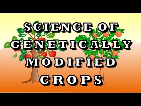 Science Of Genetically Modified Crops