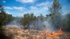 Fire rages through an area of woodland in Artigues in south-eastern France on July 27