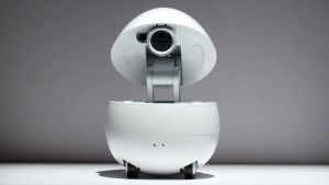 <b>Panasonic Companion Robot</b><br>
If you run a home office or a Google HQ-inspired company, you can’t go wrong with a ...