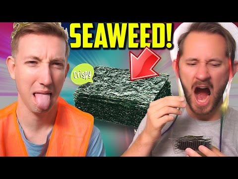 Eat Seaweed w/ MATTHIAS! Dollar Store Challenge