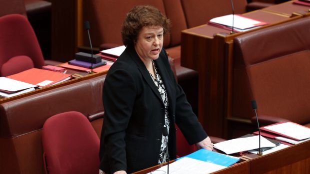 Labor senator Jacinta Collins said it should not be presumed all Labor MPs would support Dean Smith's bill being debated.