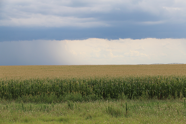 Sherman County Farm in Texas