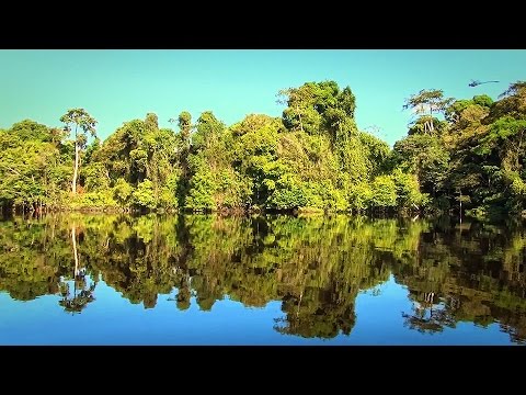 Brazil - Amazon - Floating on the Rio Negro HD