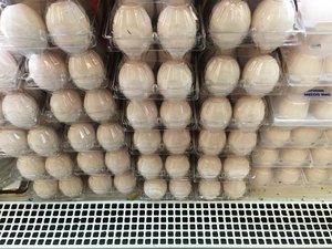 File - White eggs pre-packed per dozen in plastic containers.