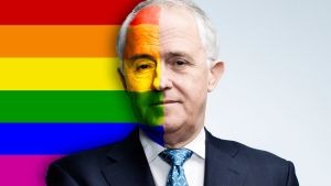 Same-sex marriage enjoys support in the community but the Coalition has struggled to deal with the issue internally. 