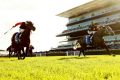 Stiff opposition: Jockey Tommy Berry rides Chautauqua to win The Darley T J Smith Stakes at Royal Randwick racecourse.