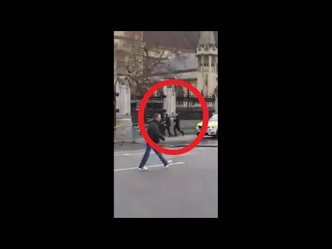 Westminster UK Terror attack RAW FOOTAGE Caught on camera, Parliament