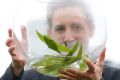 World renowned physicist and World Science Festival founder Brian Greene with Queensland's newest spider Dolomedes ...