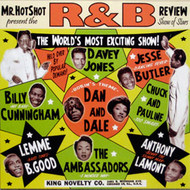 MR. HOT SHOT PRESENTS THE R&B REVIEW VOL. 2 (10")