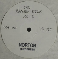 227 THE RAGING TEENS VOL. 2 LP (NTP-227)