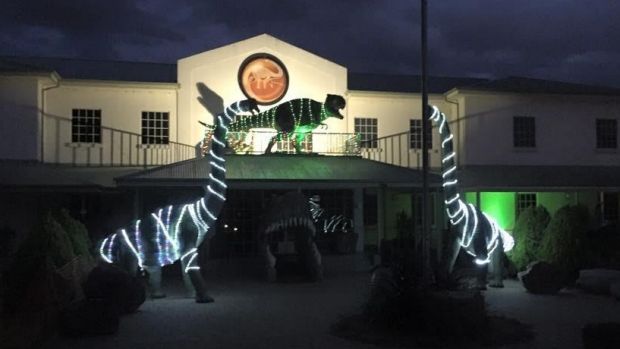 The thieves struck the National Dinosaur Museum on Saturday night.
