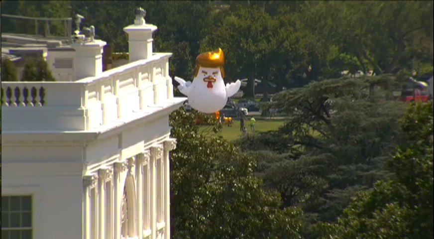 A giant inflatable Trump chicken is currently glaring at the White House