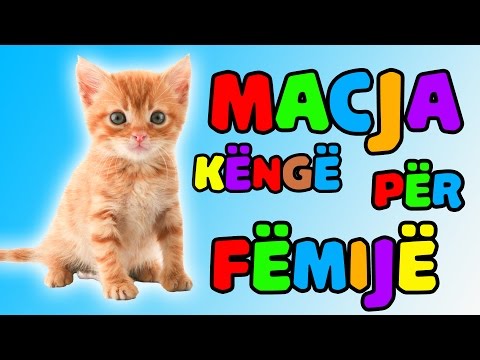 Macja (Kenge per femije) │ Bleta ™