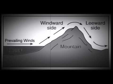 Science Leeward and Windward CJ Studios