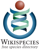 Wikispecies