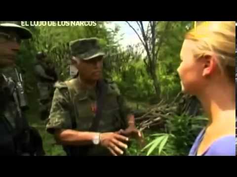 El lujo de los narcos - Reportaje Completo