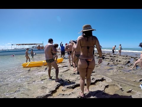 Praia dos Carneiros Pernambuco e suas piscinas naturais com os Caçadores de Aventura GoPro