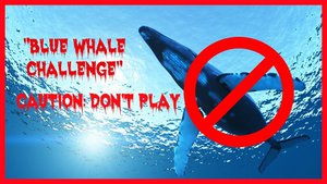 Blue Whale challenge: Two more kids in India fall prey to the online game, both ...