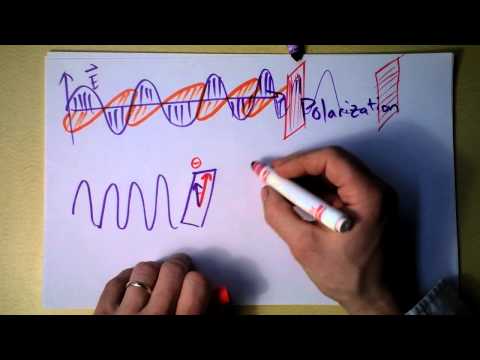 Intro to Polarization Filters!  or...why are those sunglasses so expensive? | Doc Physics