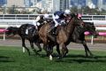 Powerful form: Ben Melham rides Aloft at Flemington.