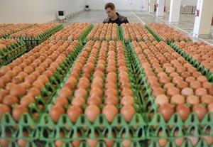 A man transports eggs at a processing plant in Gaesti, southern Romania, Friday, Aug. 11, 2017. T