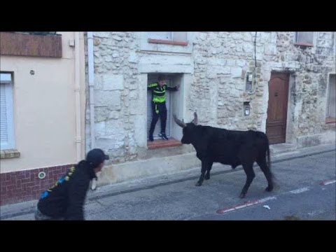 fête de la Saint Vincent a Lunel Viel 21/01/2017 bandido encierro