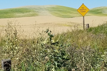 Eastern Washington backroads