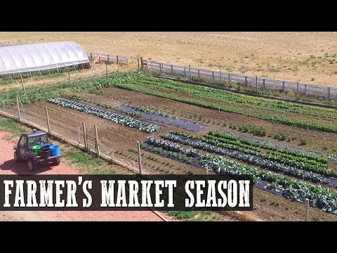 Farmers Market Season