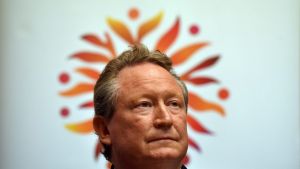 Billionaire Andrew ''Twiggy'' Forrest has unleashed his fury at opponents of the cashless debit card, including the Greens.