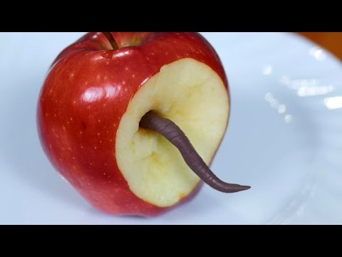 WORM IN APPLE!